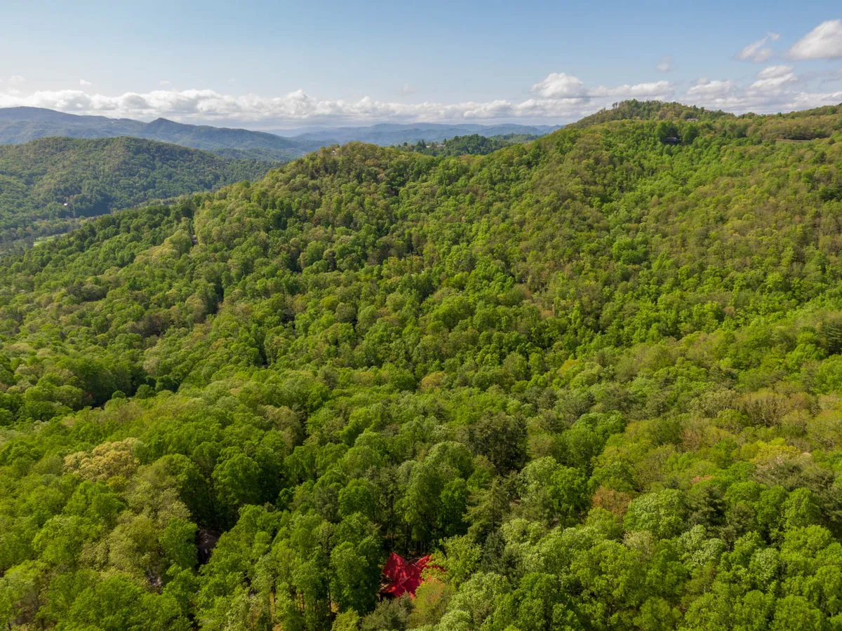 A panoramic view of lush green hills rolling into distant blue mountains, accented by a pop of red foliage in the foreground. The expanse captures the beauty and serenity of the surrounding High Country landscape, inviting outdoor adventure and exploration.